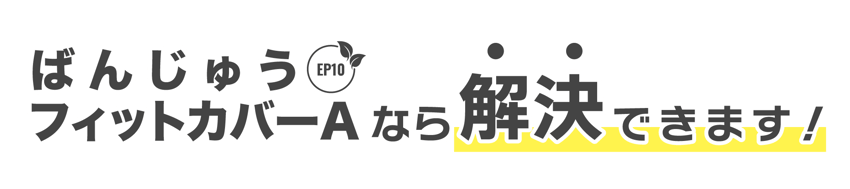 kaiketsu kaiketsu