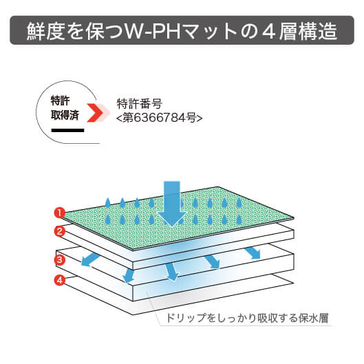 WPH-tokkyo