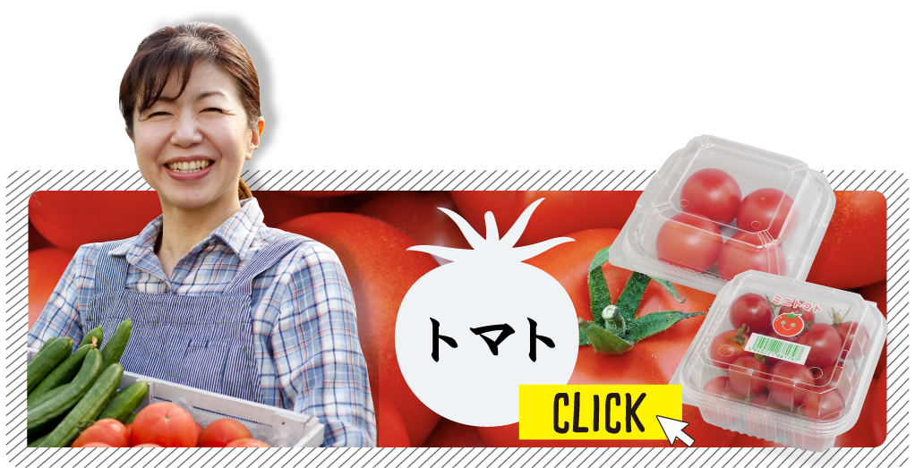 contents_41_B