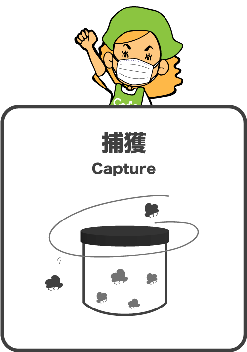 捕獲