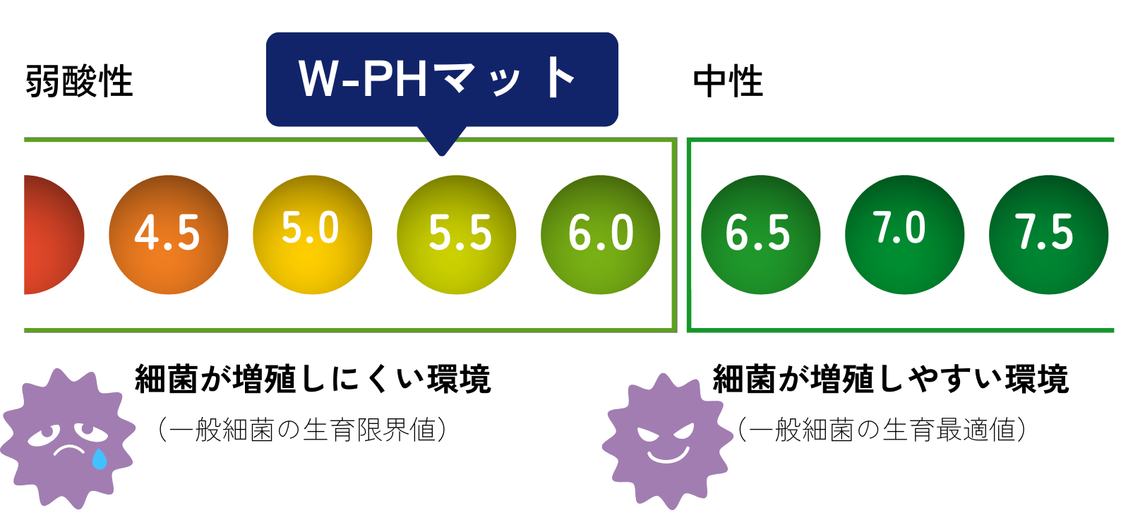 細菌は中性域で最も繁殖する